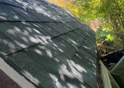 General Contractor